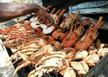 bbq